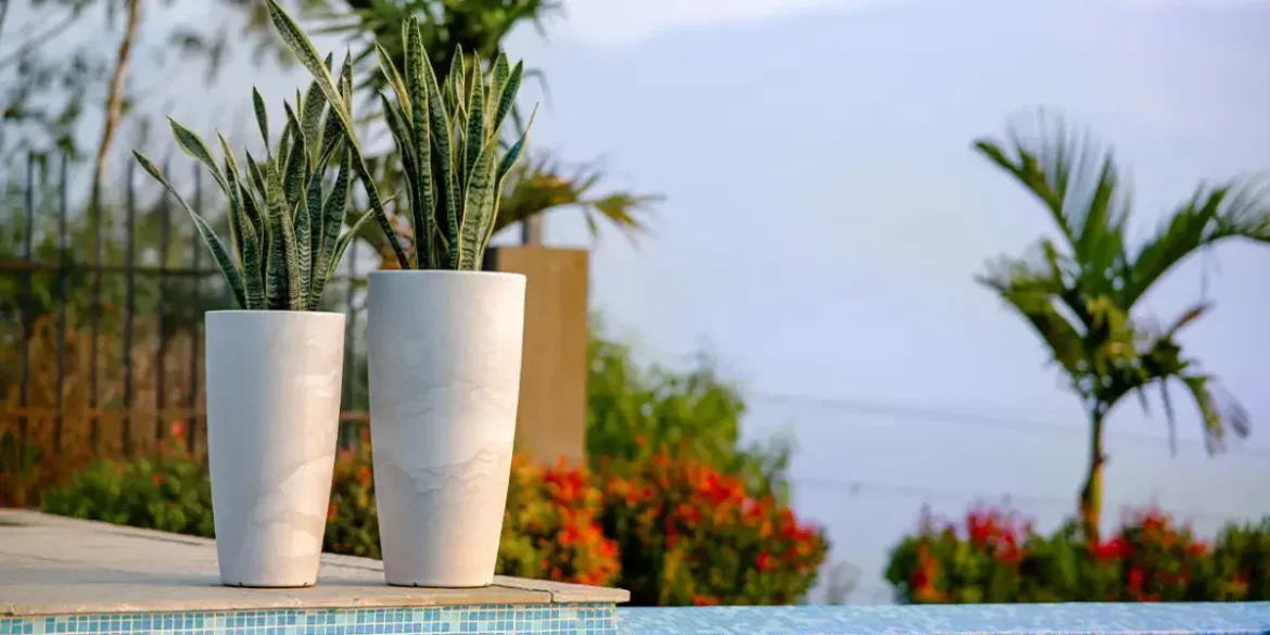 Transform Backyard Spaces Using Affordable Decorative Planters for Garden Styling