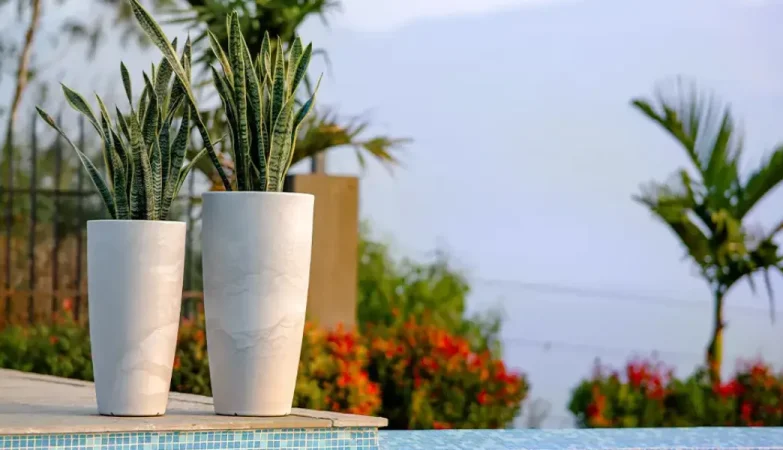 Transform Backyard Spaces Using Affordable Decorative Planters for Garden Styling